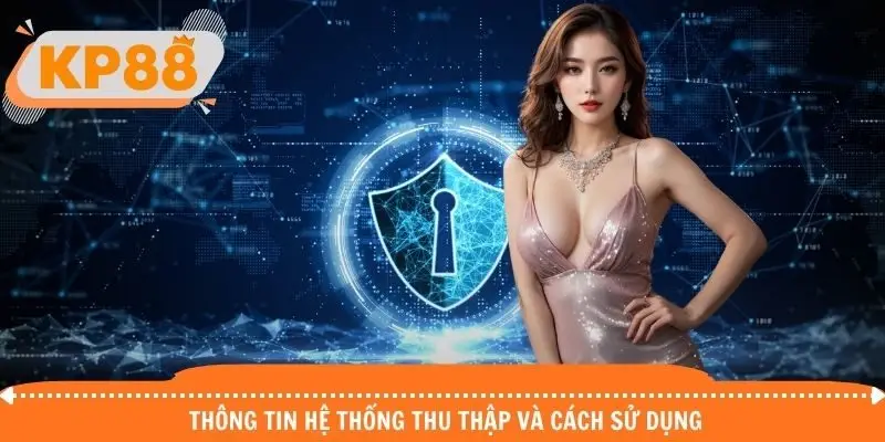 Khám phá những thông tin hệ thống thu thập và cách sử dụng