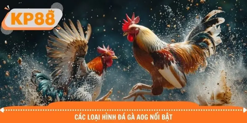 Các loại hình và chọi nổi bật tại sảnh AOG cung cấp