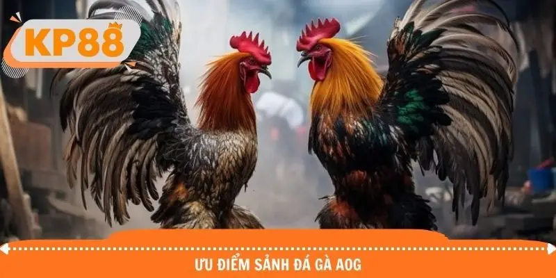 Ưu điểm tạo nên sức mạnh cho sảnh AOG