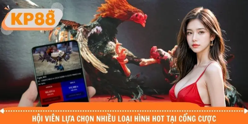 Hội viên lựa chọn nhiều loại hình hot tại cổng cược